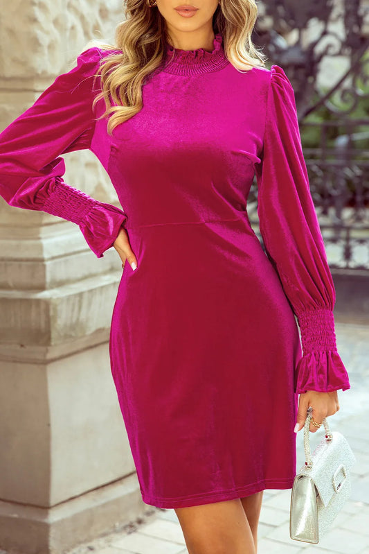 Elegant Fuchsia Ruched Sleeve Knee-Length Dress with High Neckline